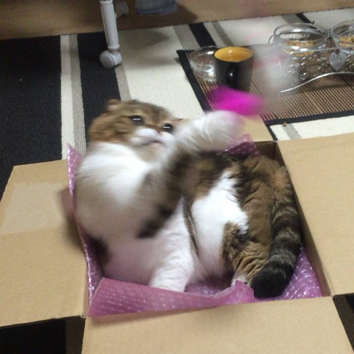 5d8d6021 de38 4286 aad8 864d8b79e793