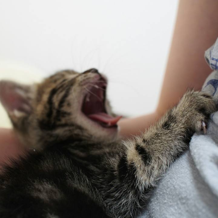 5d8fbb13 416c 4793 97f7 6a3df0d2c737