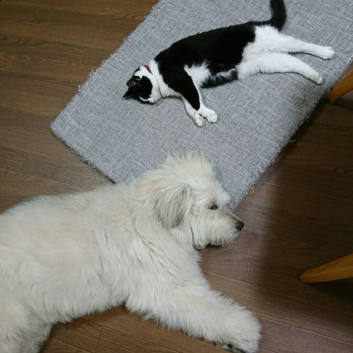 5d8fbb81 c16d 47e7 b2f0 be4333f6788a