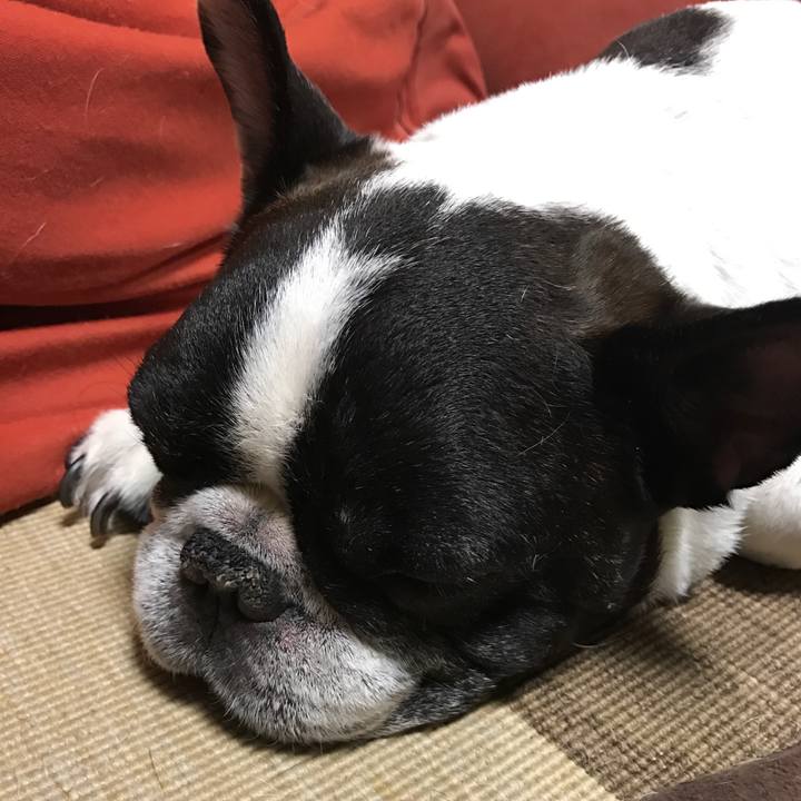 5d908b36 ae1e 446b 9da3 4c67f12aa24a