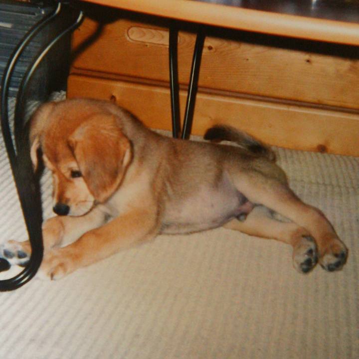 5d9174b5 421a 483e 85a9 fd1af713ba6b