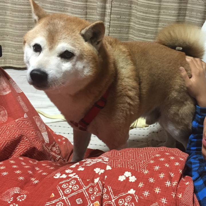 5d9186af 9ff4 47ee b19b 643d9da88e6c