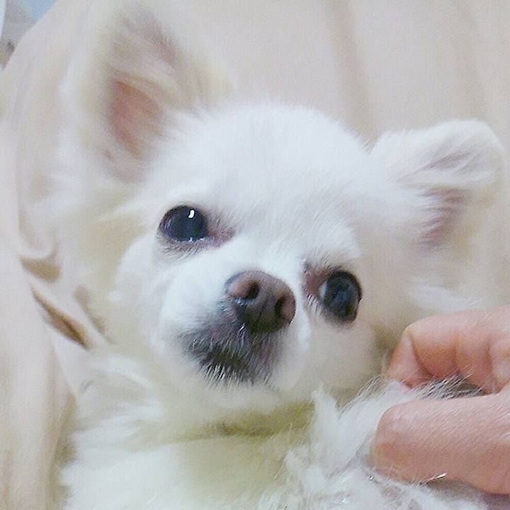 5d924bb2 fb7e 4a40 a091 89d705b3cc31