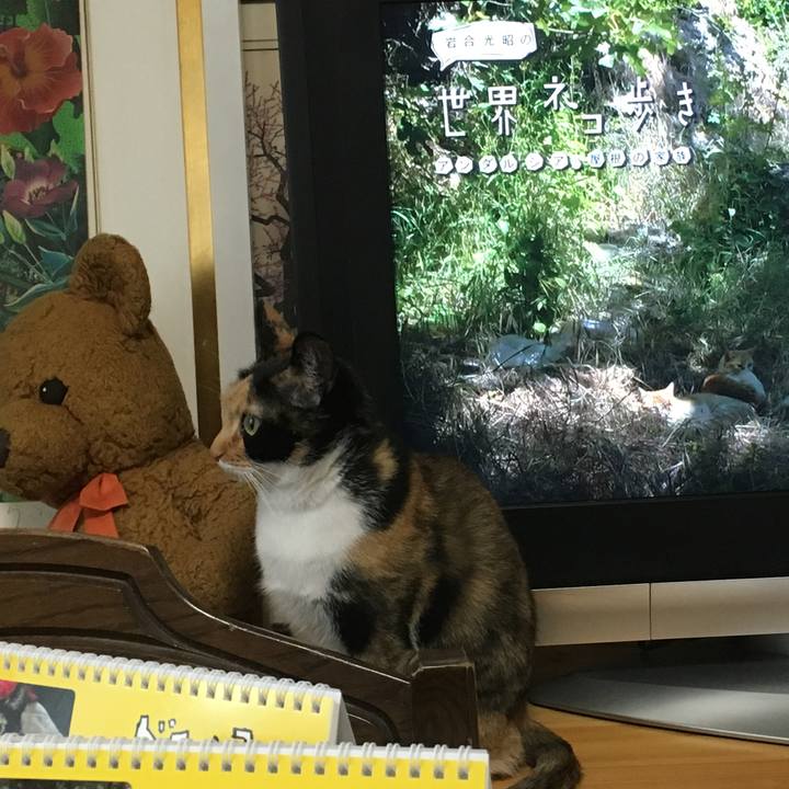 5d926ae9 5c0f 4080 baa1 3b9b52a70bed