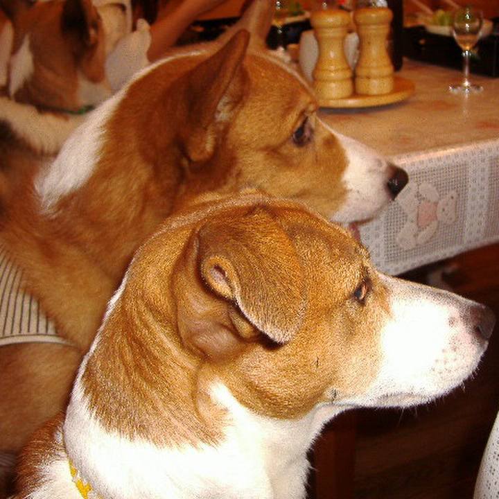 5d92de5a 6cc3 4fbf b7c5 0c8b9e7af054