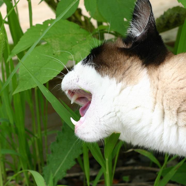 5d92fa39 f8c1 43bd 901b d01a06099027