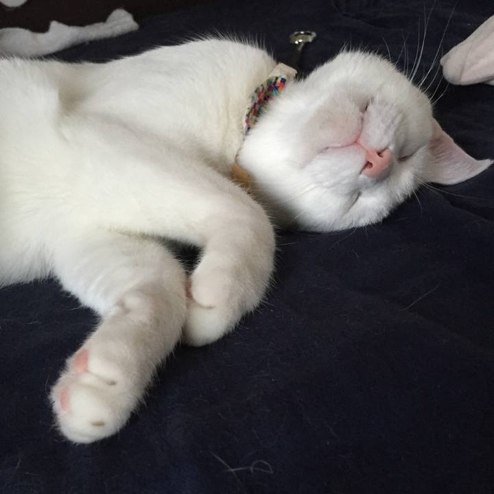 5d9319ec 91d0 47e3 8279 51ec7dd06eed