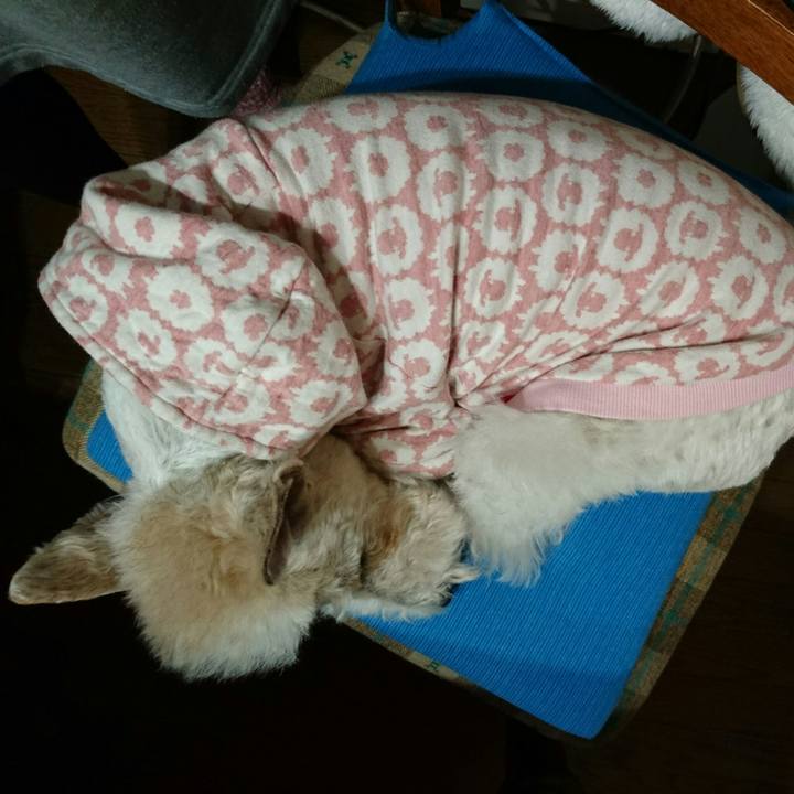 5d933de3 b87c 45be aaa4 5785e8b6f0a6