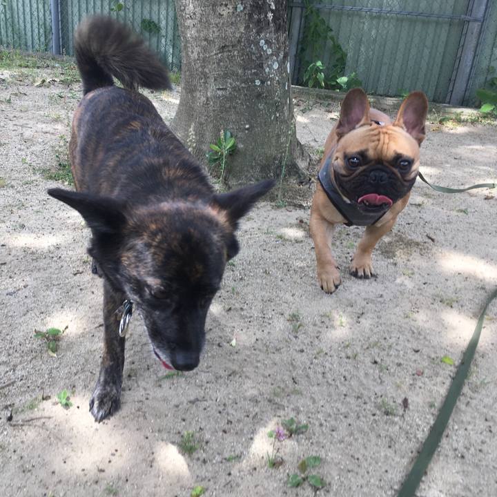 5d938b1b 026e 4d1c 8c33 a00b2b7840af