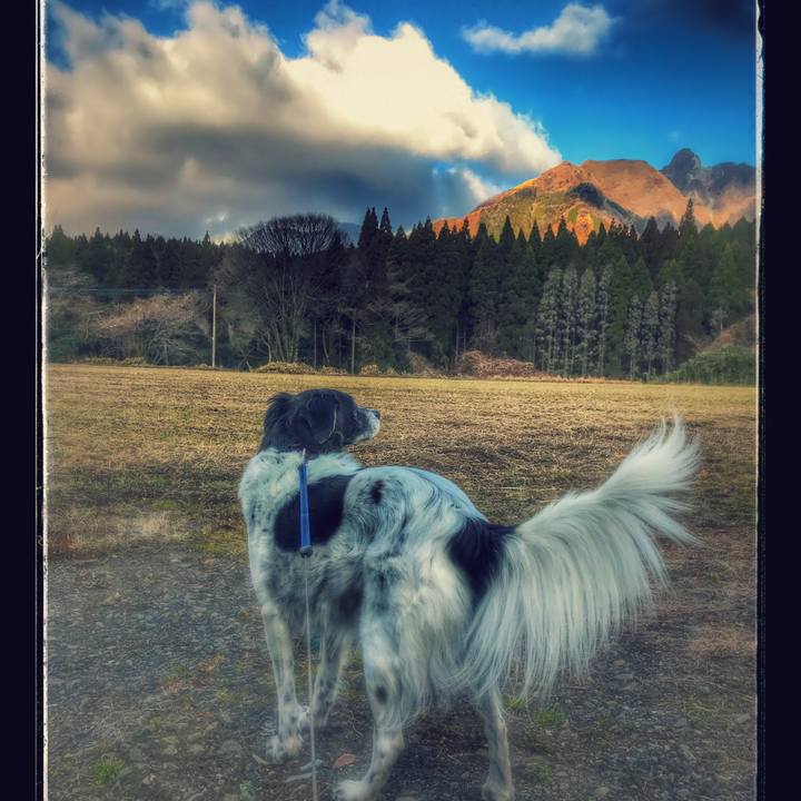 5d938b1d a8b7 4f11 9fc0 0e094c8eb416