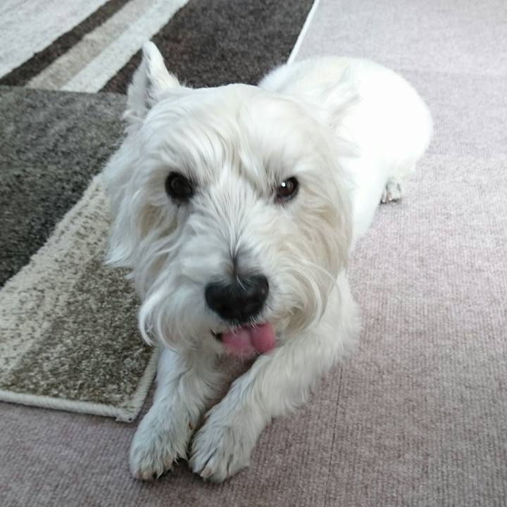 5d93c9bf 0a91 4ff3 ac85 b7441051d484