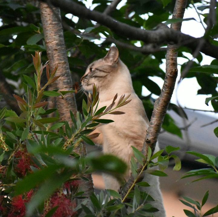 5d93cdd3 add3 45f4 a695 b471a5ccd2f0