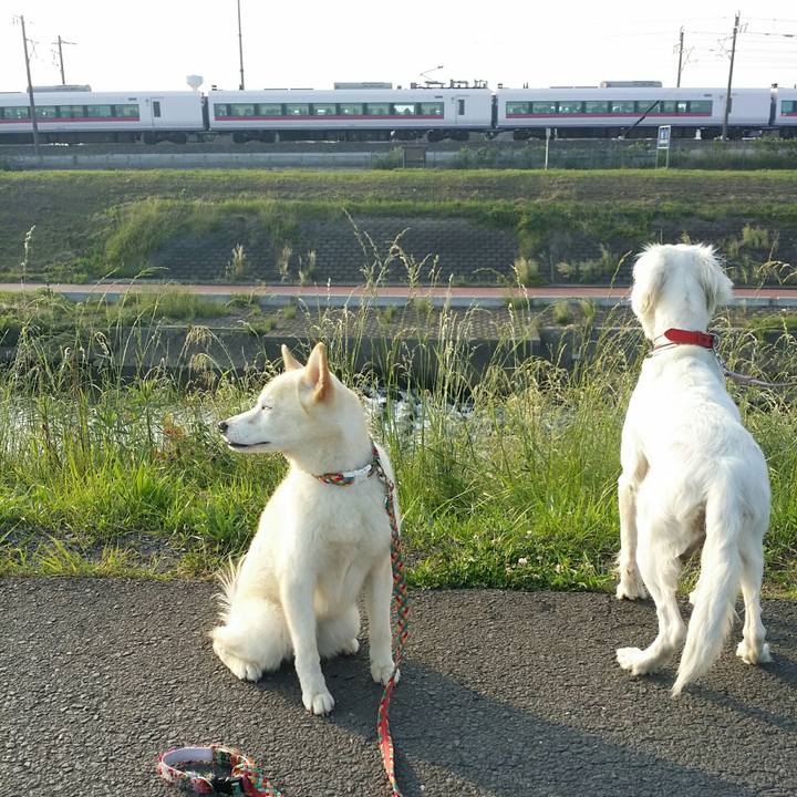 5d9423eb e275 41fe b725 1eeaf32d6b86