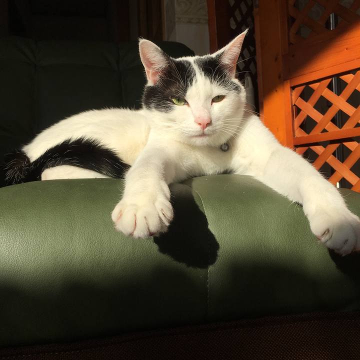 5d94fe8b 2385 467f ab9e 8fc736bd30f7