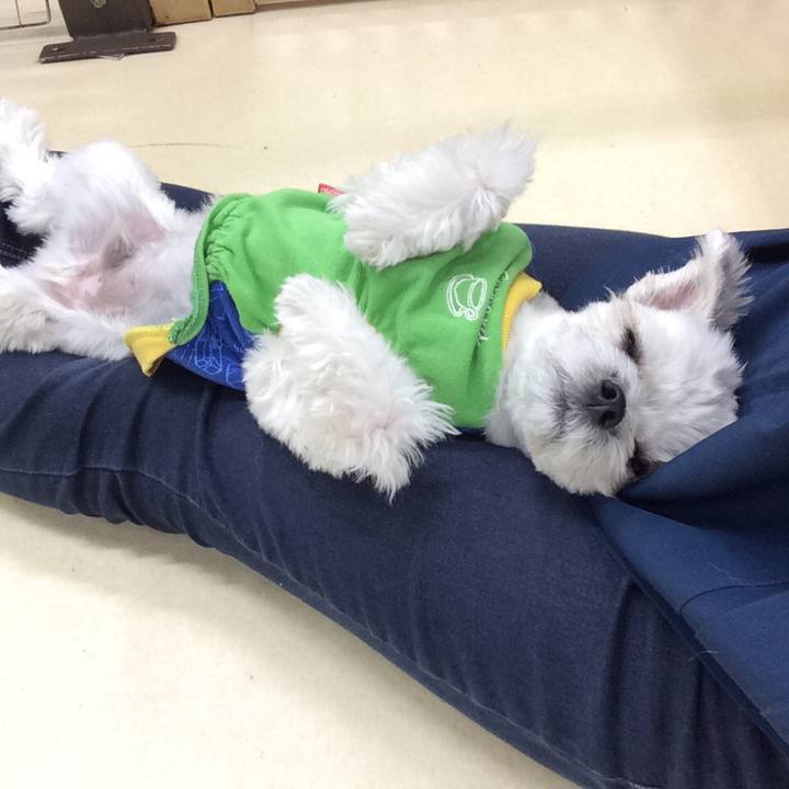 5d950023 e8f3 4378 957b 904c4879f32b