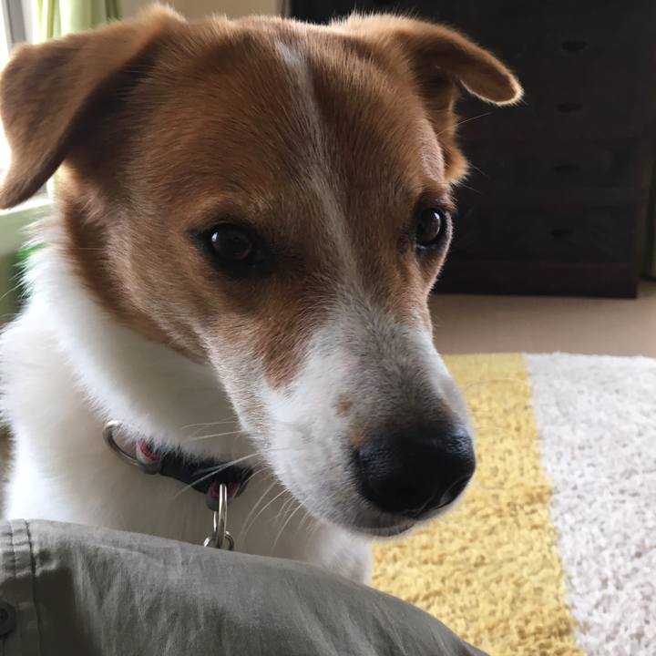 5d95ab69 6ba2 4bc4 a2f2 13d13468f5b4