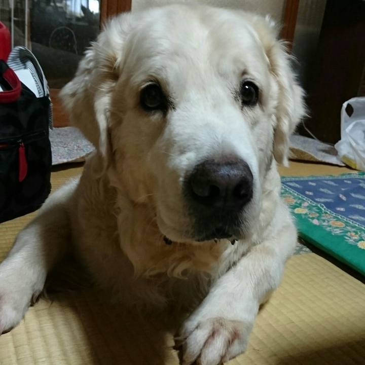 5d96d739 f0a9 4314 abca 74cf8cfbd10a