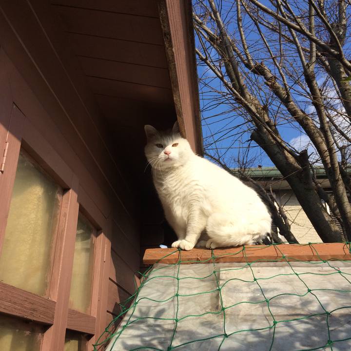 5d970f19 3347 416d 8029 adf738b71de5