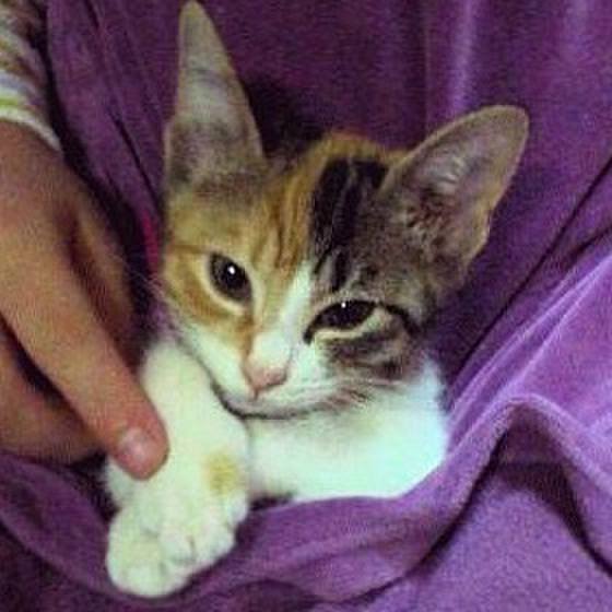 5d971da0 7eb8 49d0 9ffe 90f65d621bf9