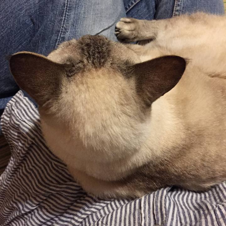 5d980777 2010 44fc 85e3 1e53d7347157