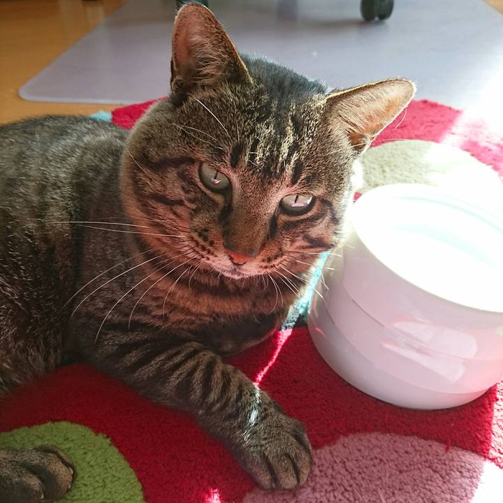 5d9839dd 5e3f 40f5 9c2c e7b730d7a572