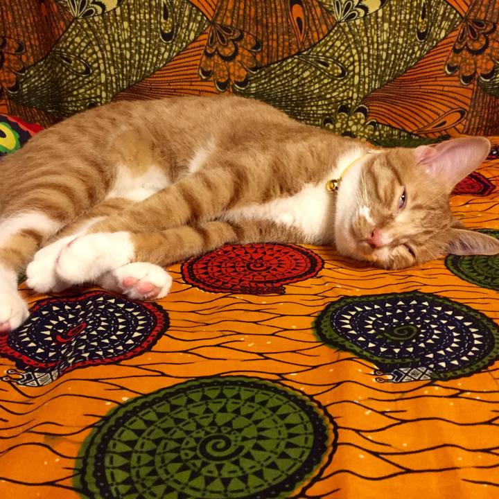 5d98be68 c58a 4c99 b6c1 5bf64fa2a145