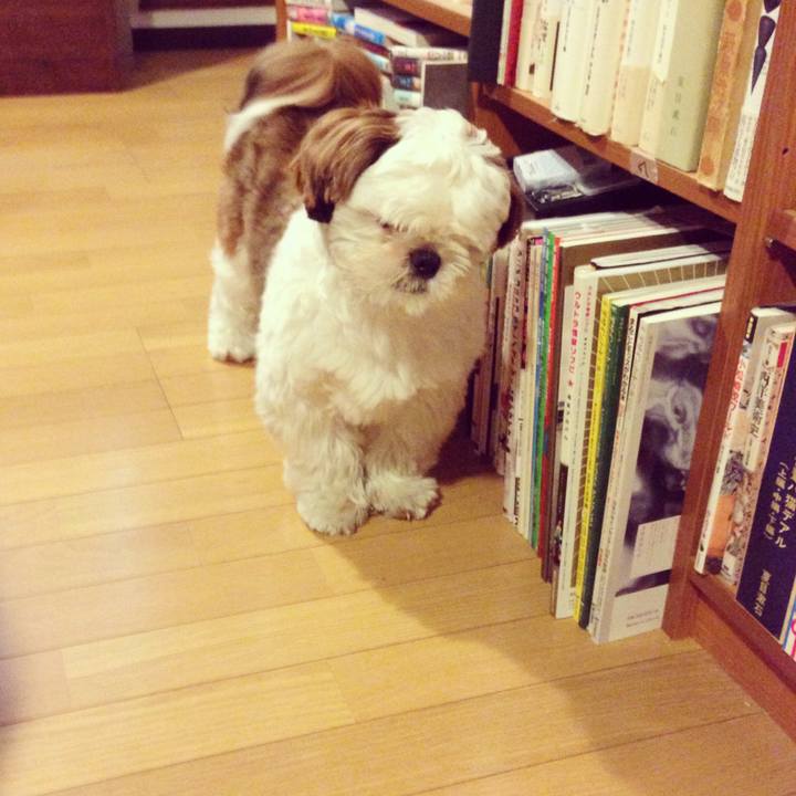 5d991605 8d5f 44a4 bb32 ce7f7bd5e3a0