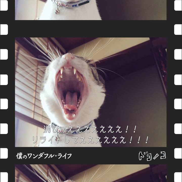 5d997fb6 9ddd 485f a2b5 65c7b682c73d