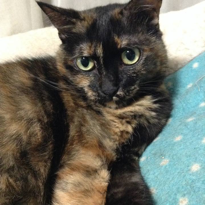 5d9a0d28 8393 45e3 b2ec 99323924ece9