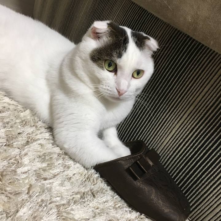 5d9a49dc 3898 468c 988a 7123d32fc4b9