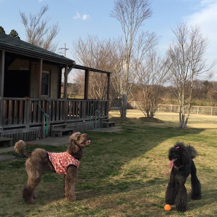 5d9a5154 d4b8 42c6 a56a 388416b80307