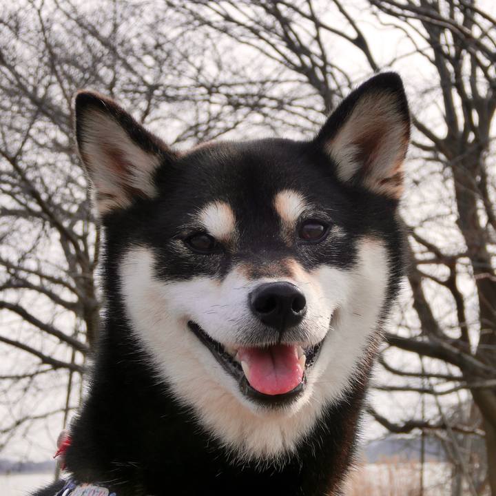 5d9a6601 9043 4c61 b066 160a92d01ba9