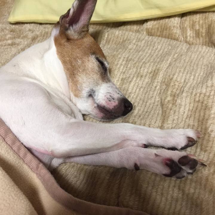 5d9a6aab f464 4188 8706 bb2610c68bdf