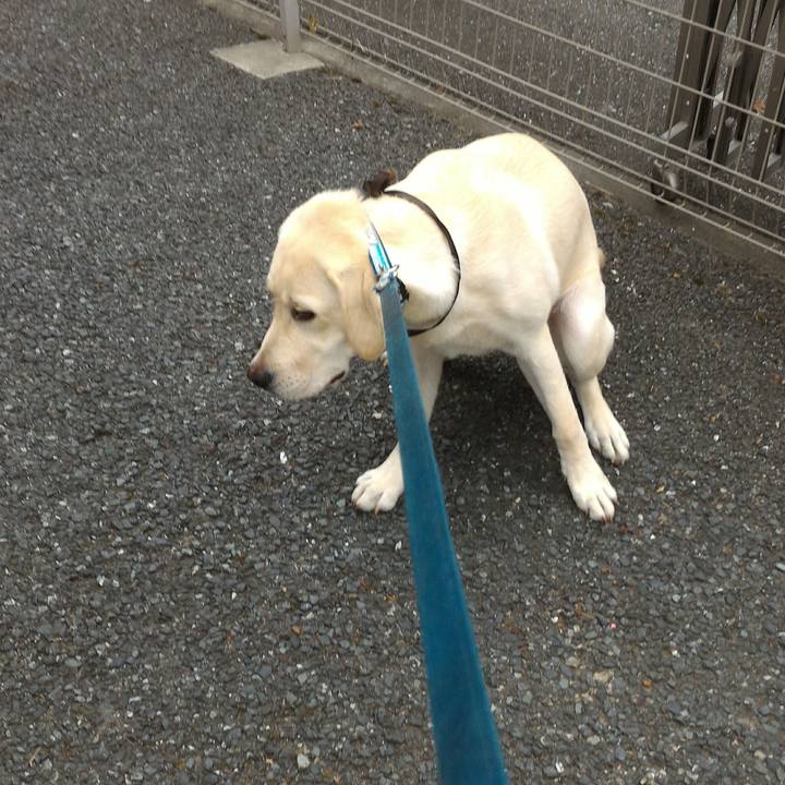 5d9b2898 52d5 441d a423 b255dac6071b