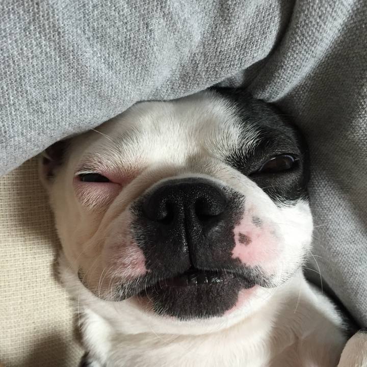 5d9b760c 2362 4863 be6f 97bca99c2a9c