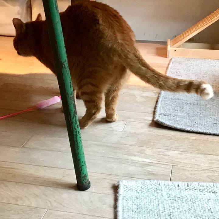 5d9c4d82 c887 4237 ad33 4a04eed673ee