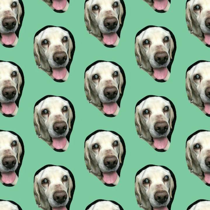 5d9da564 4347 4fea 81be 1928209fa425