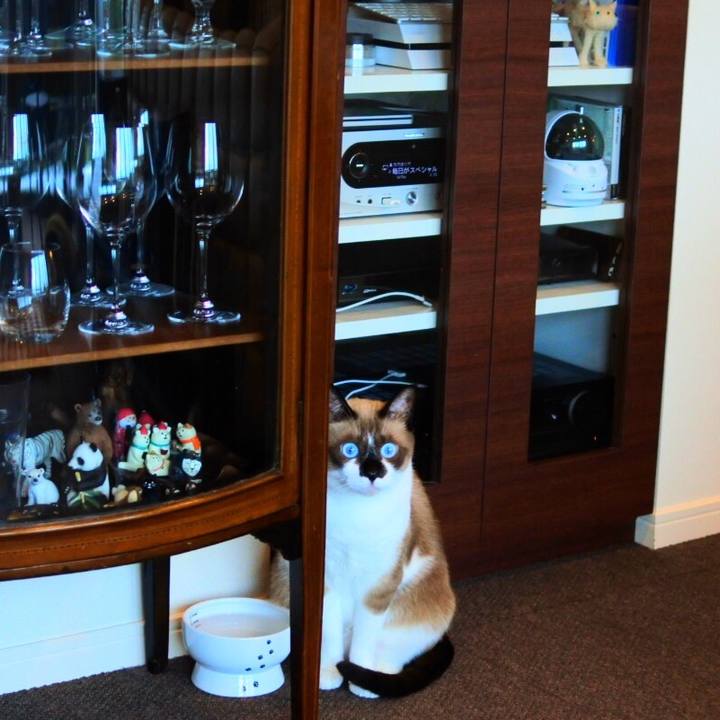 5d9db431 a384 4c2a 88cd 45d9afc6bb53