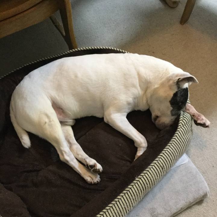 5d9dd61d 5ce0 4162 8b13 232b5c16df2d