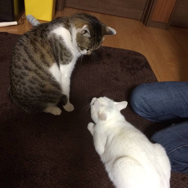 5d9e1ec3 13c2 45b6 a6bf ec31e8f00034