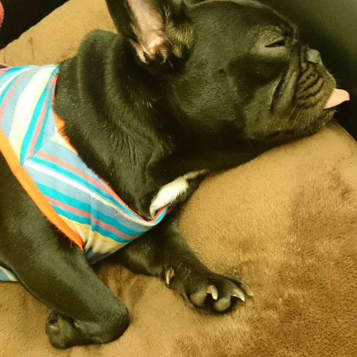 5d9f3c0a 6932 4cad 98dd e37b40bb1bc3