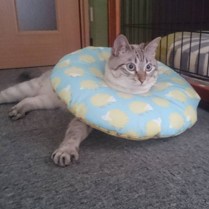 5d9f3c57 42a0 4d09 ab2f 1ff4bc3606e5