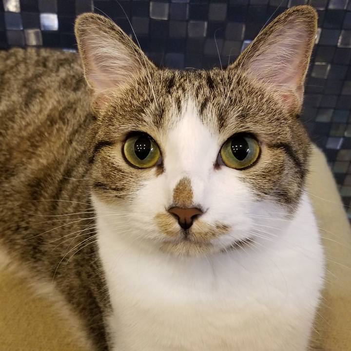 5d9fc46e 85ea 4896 91a1 06c2720eab8d