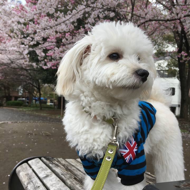 5da0441c ac76 4cd0 bb34 85c31e3adde4