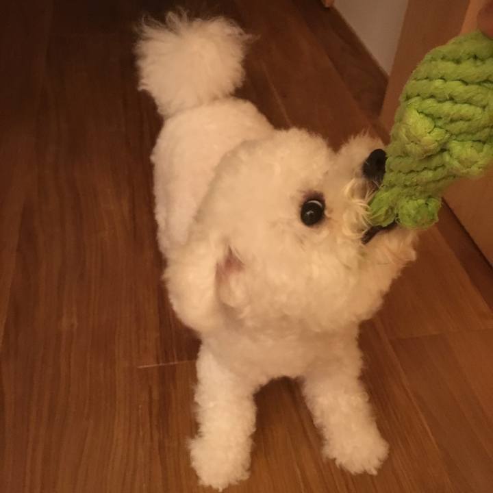 5da0a974 4770 4565 b7e7 aeb5f4b8ad6f