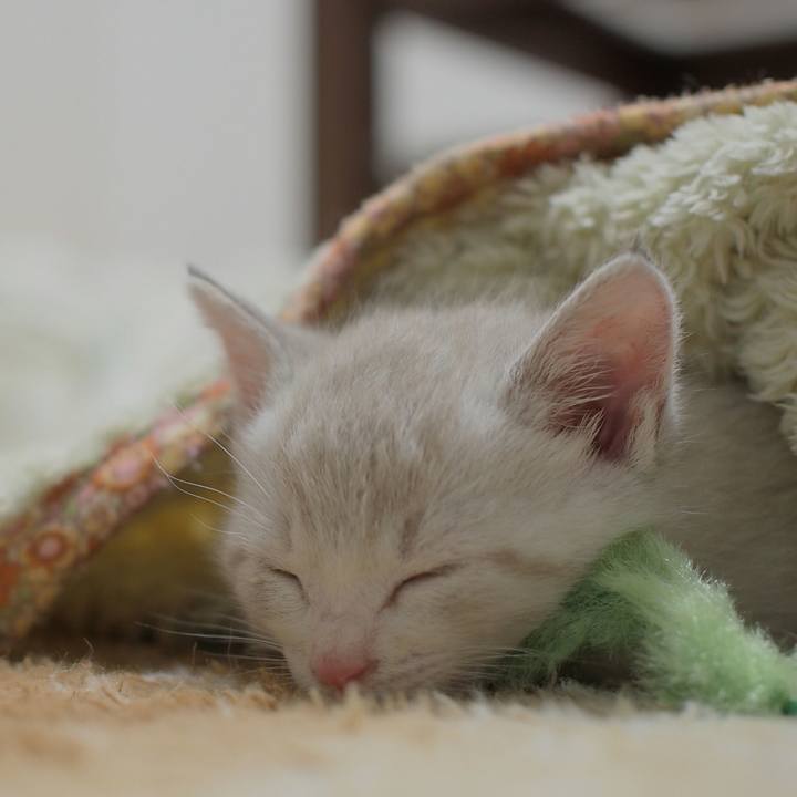 5da0af3d 790c 47c6 a566 4abc5d15a1d5