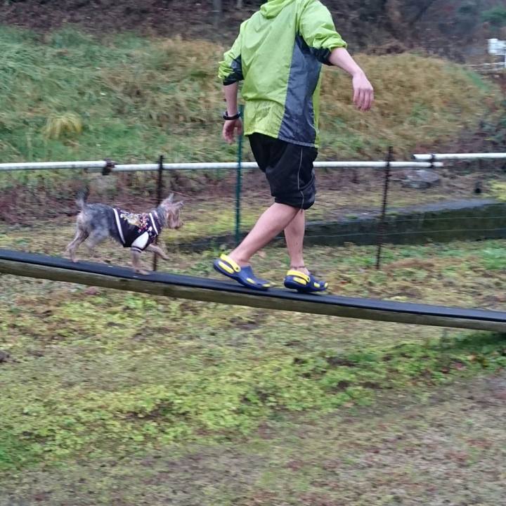 5da0b849 491a 4b88 83fa 50ccbf2ed80c