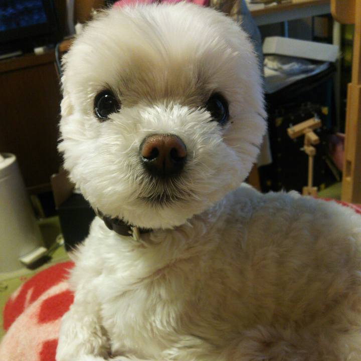 5da0df10 f900 4af2 b181 5726dcf087a7