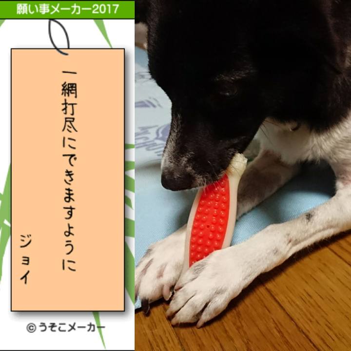 5da130e9 7c98 43b7 93ae 5317fa5cf4d2