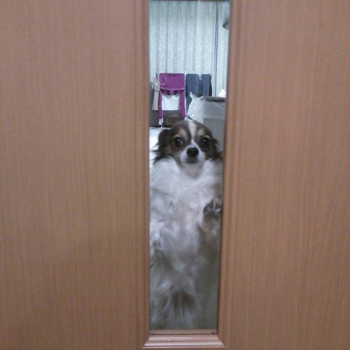 5da26485 15b1 4572 8160 ddf44da2589d